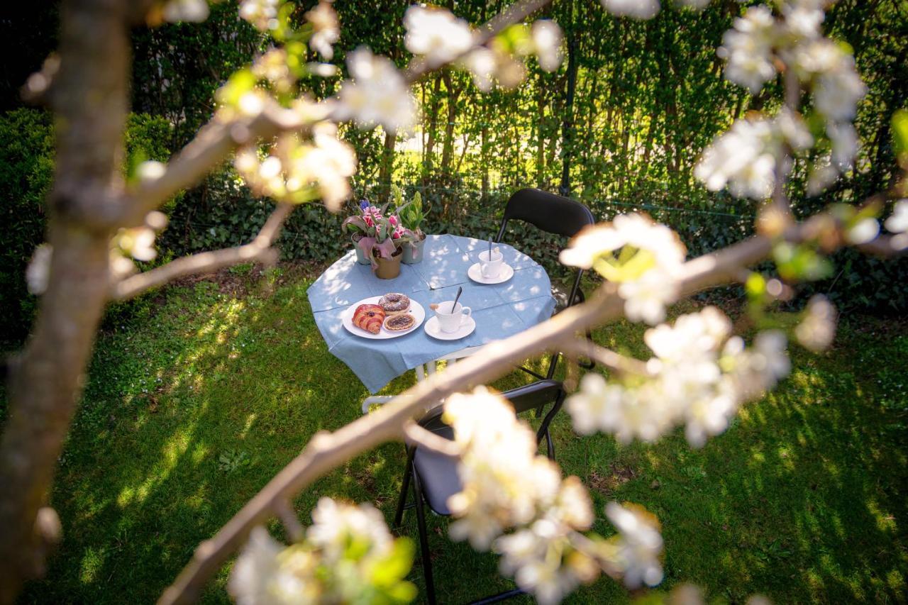 My Sweet Garden - By Myhomeincomo Cassina Rizzardi ภายนอก รูปภาพ